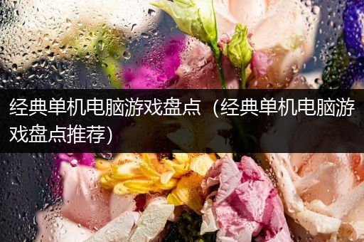 经典单机电脑游戏盘点（经典单机电脑游戏盘点推荐）
