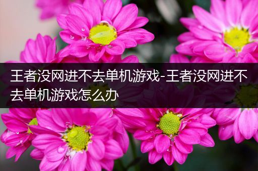 王者没网进不去单机游戏-王者没网进不去单机游戏怎么办