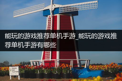 能玩的游戏推荐单机手游_能玩的游戏推荐单机手游有哪些