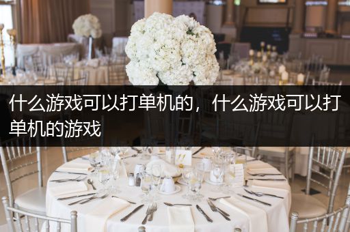 什么游戏可以打单机的，什么游戏可以打单机的游戏