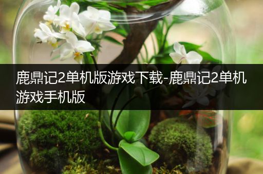 鹿鼎记2单机版游戏下载-鹿鼎记2单机游戏手机版