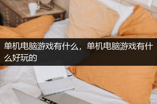 单机电脑游戏有什么，单机电脑游戏有什么好玩的