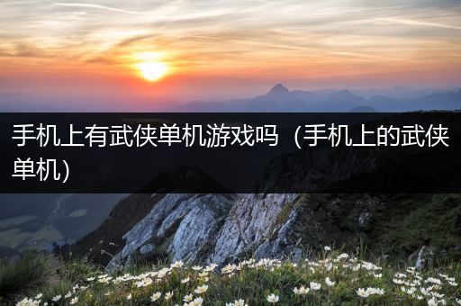 手机上有武侠单机游戏吗（手机上的武侠单机）
