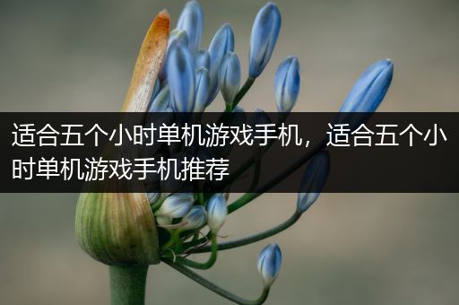 适合五个小时单机游戏手机，适合五个小时单机游戏手机推荐