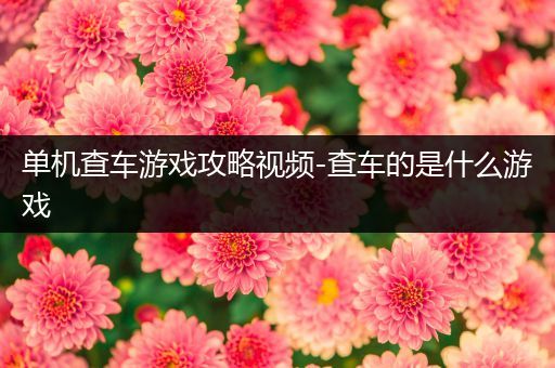 单机查车游戏攻略视频-查车的是什么游戏