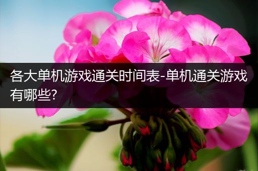 各大单机游戏通关时间表-单机通关游戏有哪些?