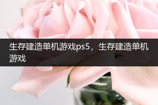 生存建造单机游戏ps5，生存建造单机游戏