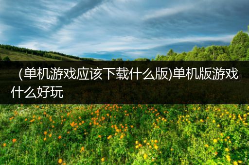 （单机游戏应该下载什么版)单机版游戏什么好玩