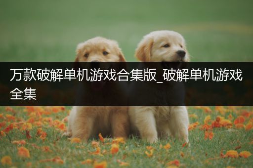 万款破解单机游戏合集版_破解单机游戏全集