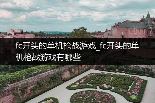 fc开头的单机枪战游戏_fc开头的单机枪战游戏有哪些
