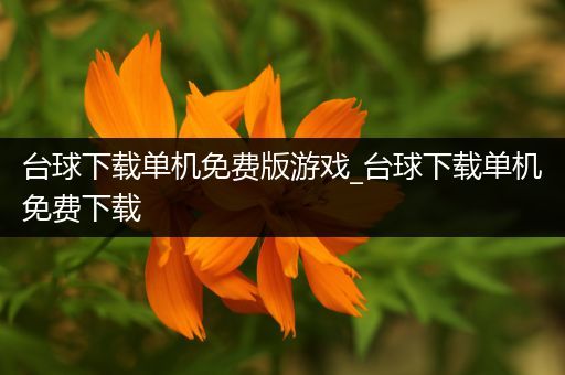 台球下载单机免费版游戏_台球下载单机免费下载