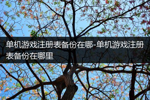 单机游戏注册表备份在哪-单机游戏注册表备份在哪里