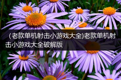 （老款单机射击小游戏大全)老款单机射击小游戏大全破解版