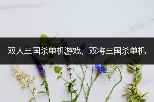 双人三国杀单机游戏，双将三国杀单机