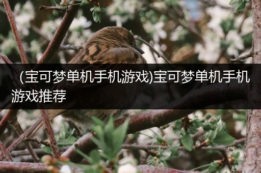 （宝可梦单机手机游戏)宝可梦单机手机游戏推荐