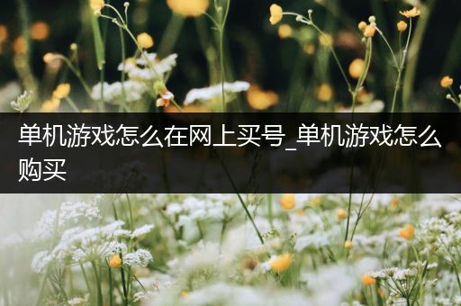 单机游戏怎么在网上买号_单机游戏怎么购买
