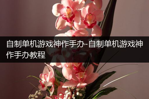 自制单机游戏神作手办-自制单机游戏神作手办教程