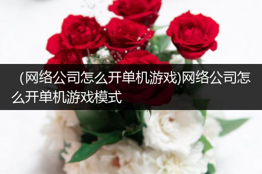 （网络公司怎么开单机游戏)网络公司怎么开单机游戏模式