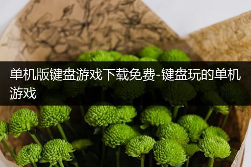 单机版键盘游戏下载免费-键盘玩的单机游戏