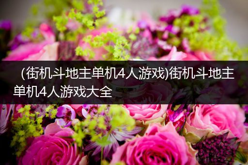 （街机斗地主单机4人游戏)街机斗地主单机4人游戏大全