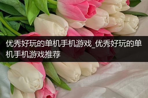 优秀好玩的单机手机游戏_优秀好玩的单机手机游戏推荐