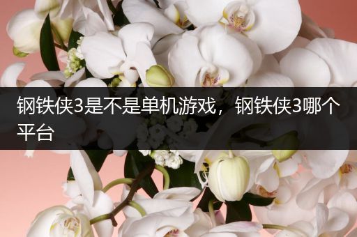 钢铁侠3是不是单机游戏，钢铁侠3哪个平台