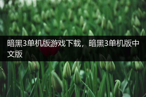 暗黑3单机版游戏下载，暗黑3单机版中文版