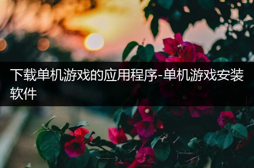 下载单机游戏的应用程序-单机游戏安装软件