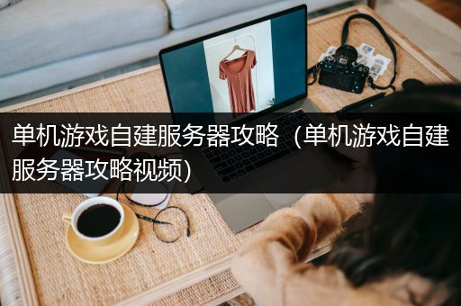 单机游戏自建服务器攻略（单机游戏自建服务器攻略视频）