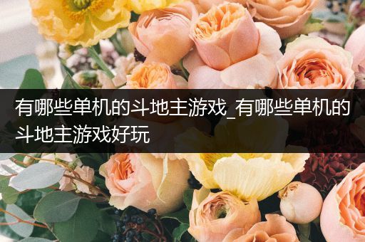 有哪些单机的斗地主游戏_有哪些单机的斗地主游戏好玩