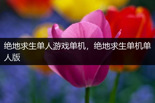 绝地求生单人游戏单机，绝地求生单机单人版