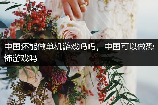 中国还能做单机游戏吗吗，中国可以做恐怖游戏吗