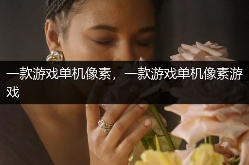 一款游戏单机像素，一款游戏单机像素游戏