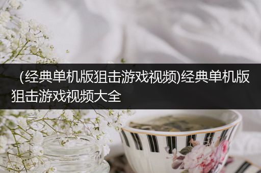 （经典单机版狙击游戏视频)经典单机版狙击游戏视频大全