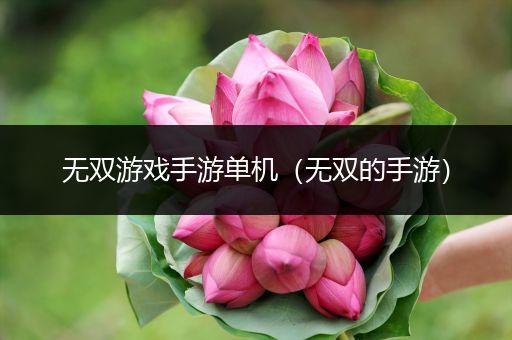 无双游戏手游单机（无双的手游）