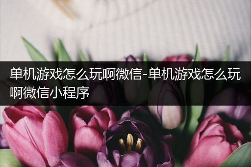 单机游戏怎么玩啊微信-单机游戏怎么玩啊微信小程序