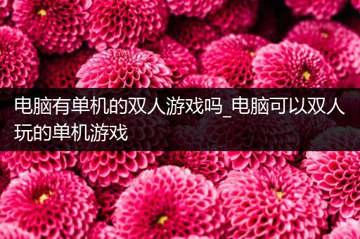 电脑有单机的双人游戏吗_电脑可以双人玩的单机游戏
