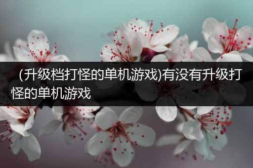 （升级档打怪的单机游戏)有没有升级打怪的单机游戏