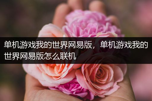 单机游戏我的世界网易版，单机游戏我的世界网易版怎么联机