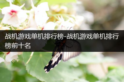 战机游戏单机排行榜-战机游戏单机排行榜前十名