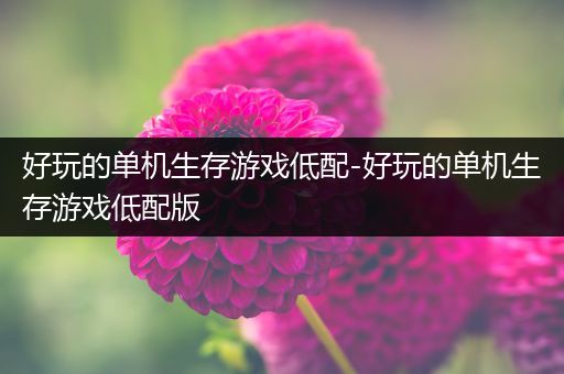 好玩的单机生存游戏低配-好玩的单机生存游戏低配版