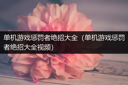 单机游戏惩罚者绝招大全（单机游戏惩罚者绝招大全视频）