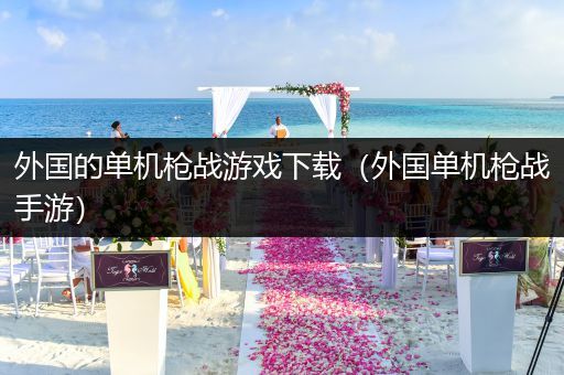 外国的单机枪战游戏下载（外国单机枪战手游）