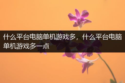 什么平台电脑单机游戏多，什么平台电脑单机游戏多一点