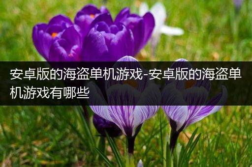 安卓版的海盗单机游戏-安卓版的海盗单机游戏有哪些