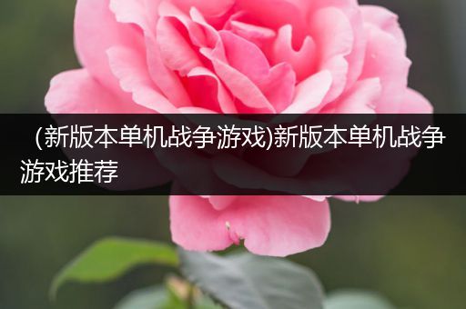（新版本单机战争游戏)新版本单机战争游戏推荐