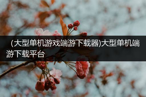 （大型单机游戏端游下载器)大型单机端游下载平台