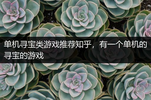 单机寻宝类游戏推荐知乎，有一个单机的寻宝的游戏