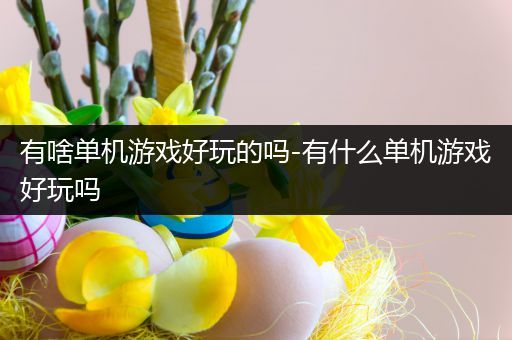 有啥单机游戏好玩的吗-有什么单机游戏好玩吗