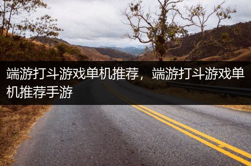 端游打斗游戏单机推荐，端游打斗游戏单机推荐手游
